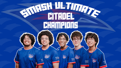 Smash Ultimate Citadel Champions