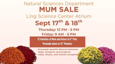  Natural Sciences Department MUM SALE. Ling Science Center Atrium. Sept 17th and18th. Thursday 12 PM  5 PM Friday 9 AM  5 PM. 12 Varieties of Mum and Asters in 6 Pots. Premade mixes in 12 Planters. Proceeds benefit Natural Sciences Dept. students and projects  Cash, Check, and Venmo accepted.